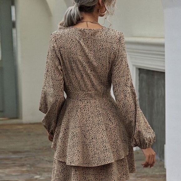 Leopard Print v neck Print Tiered Layered Dress - Picture 5 of 6